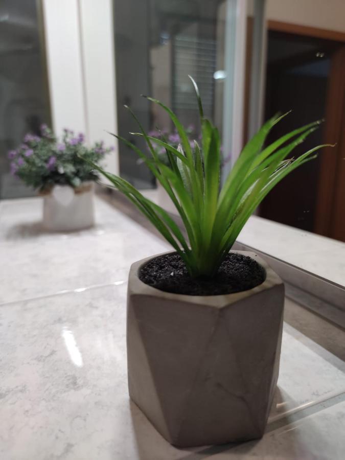 Apartment Sve U 5 Minuta ザダル エクステリア 写真